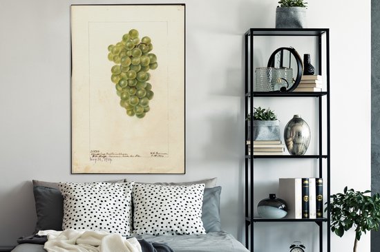 Toile Peinture Raisins Witte - peinture de Deborah Griscom Passmore - 90x140 cm - Décoration murale