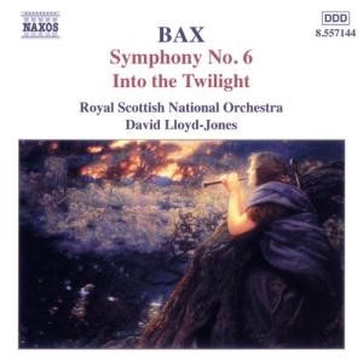 Royal Scottish National Orchestra, David Lloyd-Jones - Bax: Symphony No. 6 - Into The Twilight (CD)