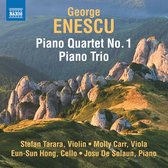 Stefan Tarara & Molly Carr & Eun-Sun Hong - Enescu: Piano Quartet No. 1 . Piano Trio (CD)