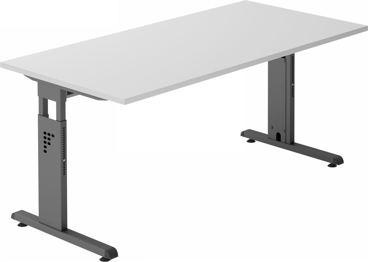 MEGA 16 D Esdoorn