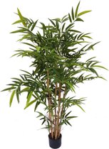 Mama's Planten - Bamboe Kunstplant - Vers Van De Kweker - ↨ 120cm - ⌀ 15cm