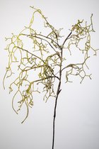 Kunsttak - Curly - topkwaliteit decoratie - 2 stuks - zijden kunsttak- Groen - 95 cm hoog