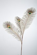Kunstveren - Peacock - topkwaliteit decoratie - 2 stuks - zijden tak - Bruin - 89 cm hoog
