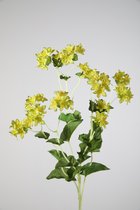 Kunstbloem - Bupleurum - goudscherm - topkwaliteit decoratie - 2 stuks - zijden tak - Groen - 75 cm hoog