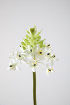 Kunstbloem - Ornithogalium - topkwaliteit decoratie - 2 stuks - zijden bloem - Wit - 81 cm hoog