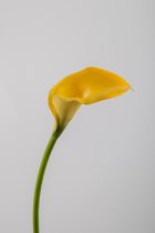 Kunstbloem - Callalelie - topkwaliteit decoratie - 2 stuks - zijden bloem - Geel - 48 cm hoog
