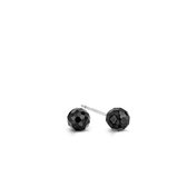 Ti Sento Oorknoppen 7452ZB - Zilver