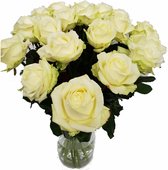 Avalanche+ - Witte Rozen - Bos 12 rozen - 70 cm lang - Verse rozen rechtstreeks van de kweker