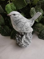 Wintervogeltje  wit-grijs met zilveren glitters  zittend op zilveren denappel