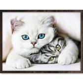 Eagle® Diamond Painting Volwassenen - Kittens - 40x30cm - Ronde Steentjes