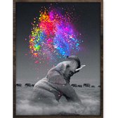 Eagle® Diamond Painting Volwassenen - Kleurrijke Olifant - 40x30cm - Ronde Steentjes