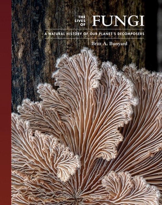 Couverture du livre 'The Lives of Fungi' montrant des lamelles de champignon. Titre : The Lives of Fungi, A Natural History of Our Planet's Decomposers.