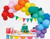 Ballonnen Rainbow deco kit