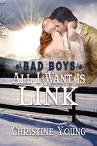 Bad Boys- All I Want is Link