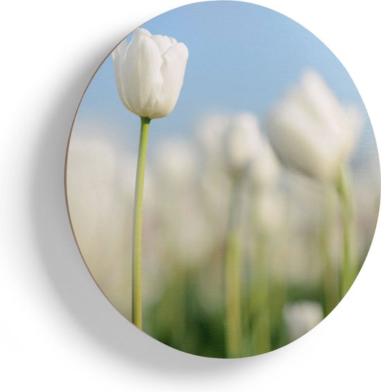 Artaza Houten Muurcirkel - Witte Tulpen - Bloemen - Ø 40 cm - Klein - Multiplex Wandcirkel - Rond Schilderij
