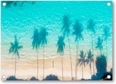 Dronefoto van de weerspiegelingen van de palmbomen in het turquoise water van de zee - Tuinposter 70x50 - Wanddecoratie - Besteposter - Landschap - Natuur