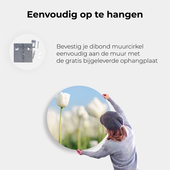 Artaza Dibond Cercle Mural Tulipes Witte - Fleurs - Ø 70 cm - Cercle Mural - Tableau Rond - Pour Intérieur et Extérieur