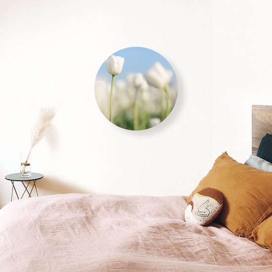 Artaza Dibond Cercle Mural Tulipes Witte - Fleurs - Ø 70 cm - Cercle Mural - Tableau Rond - Pour Intérieur et Extérieur