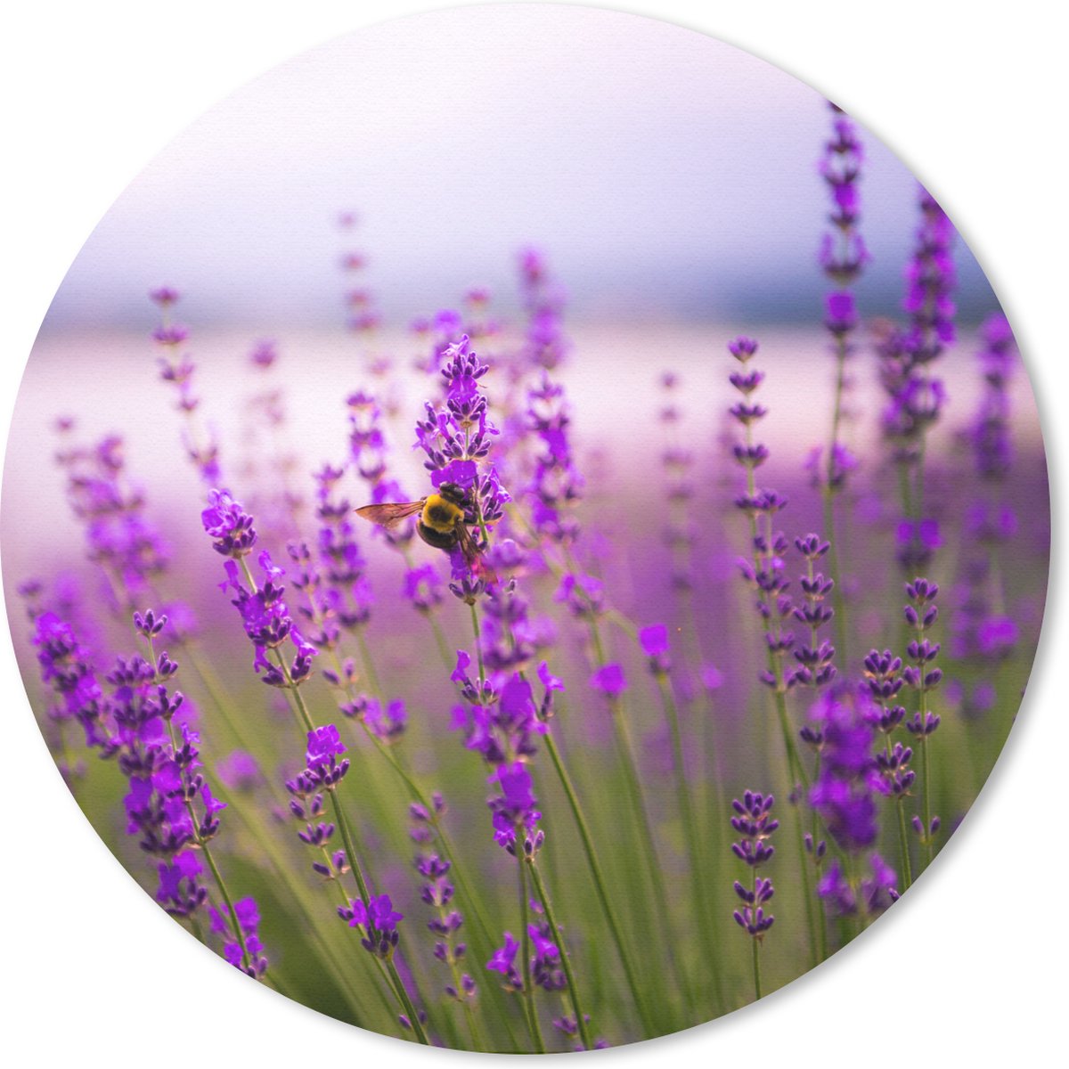 Muismat rond 20x20 cm - Mousepad Lavendel met bij - Ronde muismatten