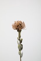 Kunsttak - Chrysanthemum - topkwaliteit decoratie - 2 stuks - zijden tak- donkerrood - 81 cm hoog