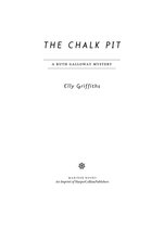 Ruth Galloway Mysteries 9 - The Chalk Pit