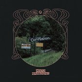 Trace Mountains - House Of Confusion (LP)