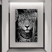 Wallyard - Glasschilderij Luipaard - Wall art - Schilderij -60x90 cm - Premium glass - Incl. muur bevestiging