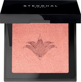 Stendhal Illuminating Blush 300 Rose Jaipur 5.5g