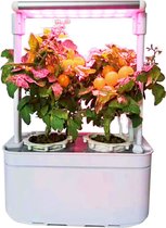 Plug & Grow Hydroponic Smart Garden Groei Systeem 2 pots 6200-A