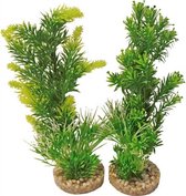 Aquarium Plant 349701 medium