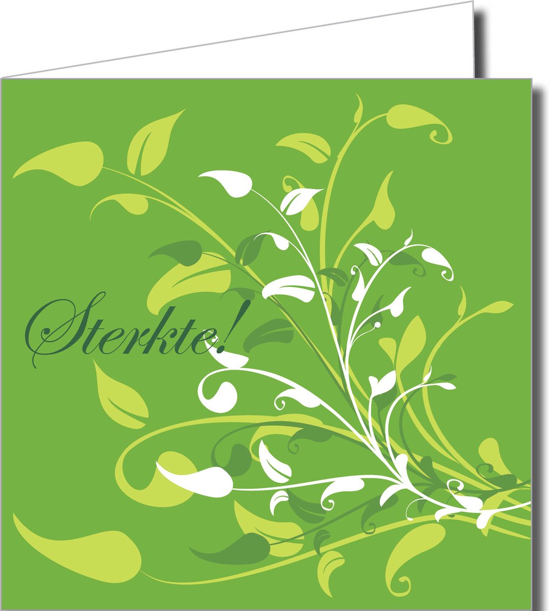 Wenskaartenpakket Beterschap – 12 Stuks met Vrolijke Gekleurde Letters, Kikker en Hond (14,5 x 14,5 cm)