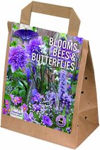 Blooms, bees, and butterflies garden - violet-roze - zomerbollen