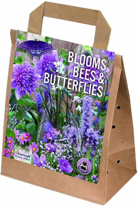 Zomerbloeiers pakket - Blooms, bees, and butterflies garden - violet-roze - geschikt voor borders en potten