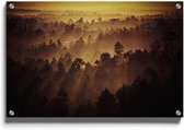 Walljar - Orange Woods - Muurdecoratie - Plexiglas