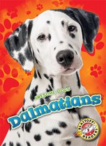 Awesome Dogs - Dalmatians