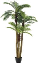- Palmboom | kunststof | groen | 175x180x (h)300 cm