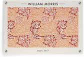 Walljar - William Morris - Apple - Muurdecoratie - Plexiglas schilderij