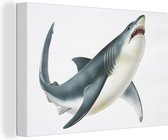 Illustration Peinture sur Toile - Requin - Wit - 60x40 cm - Décoration murale