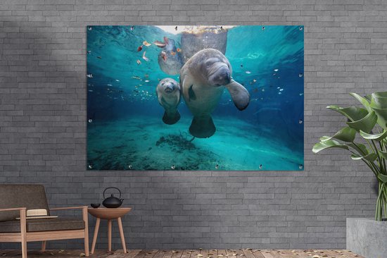 Décoration murale Lamantin antillais avec bébé - 180x120 cm - Poster jardin - Toile jardin - Poster extérieur