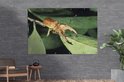 Grote tuinposter met een vliegend hert op een groen blad.