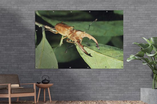 Grote tuinposter met een vliegend hert op een groen blad.