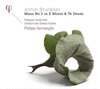 Collegium Vocale Gent, Orchestre Des Champs-Elysees - Bruckner: Mass No.2 In E Minor & Te Deum (CD)