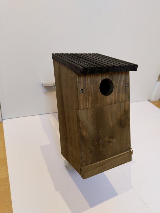 Winvugel vogelhuisje raam vensterbank