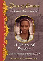 A Picture of Freedom : the Diary of Clotee, a Slave Girl