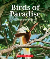 Birds of Paradise