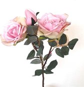 2x Rose Pink 53cm