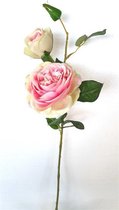 2x Cabbage Rose White Pink 72cm