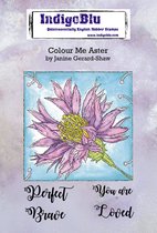 Colour Me Aster A6 Rubber Stamps (IND0746)