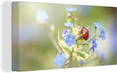 Tableau sur Toile Coccinelle - Bloem - Printemps - 160x80 cm - Décoration murale
