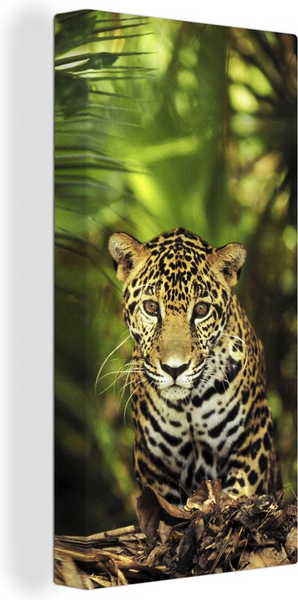 OneMillionCanvasses - Canvas - Jaguar - Jungle - Planten - Katachtig - Tropisch - Schilderijen op canvas - Kamer decoratie - 20x40
